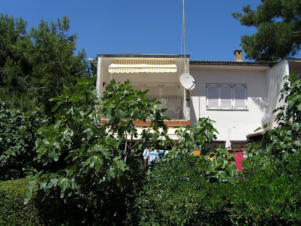 קרק Apartment Damijan מראה חיצוני תמונה